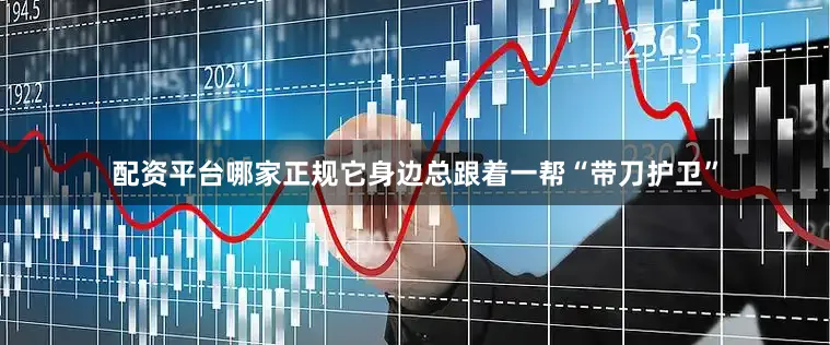 配资平台哪家正规它身边总跟着一帮“带刀护卫”