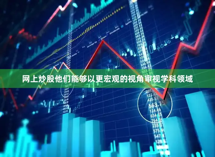 网上炒股他们能够以更宏观的视角审视学科领域