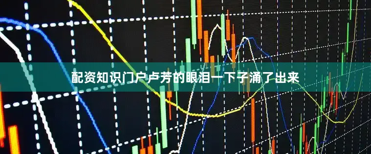 配资知识门户卢芳的眼泪一下子涌了出来