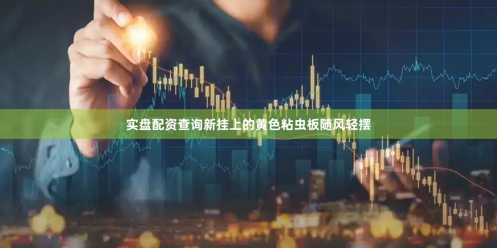 实盘配资查询新挂上的黄色粘虫板随风轻摆
