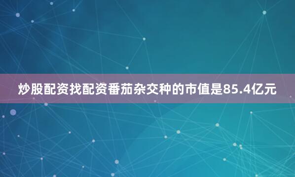 炒股配资找配资番茄杂交种的市值是85.4亿元