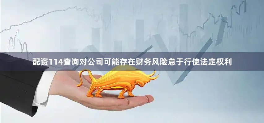配资114查询对公司可能存在财务风险怠于行使法定权利